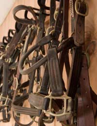 Equestrian Horse Tack Saddle Bridles