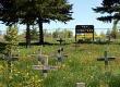 Pet Cemeteries: Who Runs Them and Why?