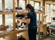 How to Set Up a Cat Rescue or Sanctuary in the UK