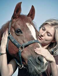 Horse Whisperer Horse Whisperer Horses