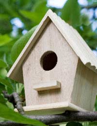Making Animal Housing For A Living