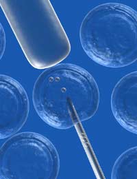 Breeding Animals Artificial Insemination