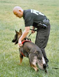 Police Dog Handlersdog Training Dog