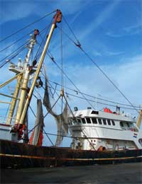Fisheries Worker Marine Sea Fishing