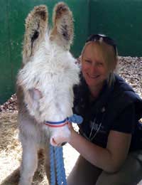 Horses Equine Veterinary Nurse Ponies