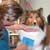 Set Up a Dog Grooming Service