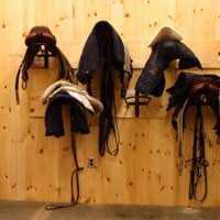 Saddler Tack Equine Leather Design