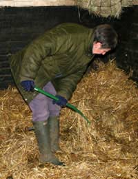 Work With Horses: Becoming A Stablehand